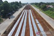 Satgas kebut produktivitas lahan pangan di median Jalan Bomang Bogor