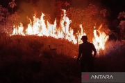325 hektare lahan di Jabar terbakar, 215 ribu KK terdampak kekeringan