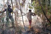 Karhutla 12 hektare di Lingga, petugas berjibaku padamkan api