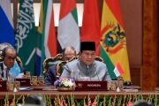 Prabowo di KTT BRICS: RI siap tingkatkan dukungan pangan dunia