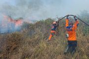 Karhutla Poso hanguskan 50 hektare lahan gambut dan kebun masyarakat
