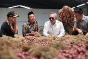 Menko Pangan: Ekspor ke Thailand perluas pasar bawang merah Brebes
