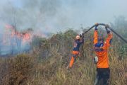 BPBD tangani tiga titik api baru di wilayah Kecamatan Pamona Tenggara