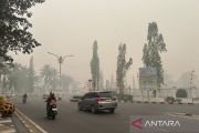 Buntok diselimuti asap tebal, masyarakat diimbau gunakan masker