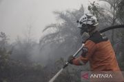 DMC Dompet Dhuafa bantu padamkan karhutla di Kalimantan Tengah