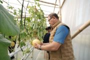 Kadindik Jatim puji panen melon SMKN 1 Tulungagung