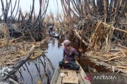 Access hampers firefighting in Indonesia's Berbak National Park