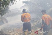 BPBD: Karhutla di Desa Teluk Limau Sumsel masih keluarkan asap tebal