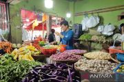 Bengkulu terima alokasi lahan 55 hektare untuk bawang putih