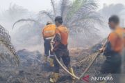 Tim satgas padamkan karhulta di perkebunan sawit Gunung Megang Muara Enim