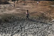 Ketika hujan datang terlambat
