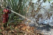 BMKG deteksi 4.028 titik panas di Pulau Sumatera