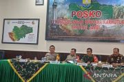 Jambi to send heavy equipment to fight Berbak National Park fires