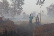 APHI Riau gotong royong dan kolaborasi tingkat tapak cegah dan pemadaman Karhutla paling efektif