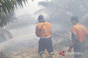 BPBD Muara Enim lanjutkan pemadaman karhutla di Teluk Limau