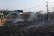 Kebakaran lahan kembali terjadi di Jakarta Utara pada Selasa