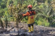 Tim gabungan berhasil padamkan karhutla di Parigi Moutong