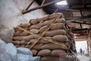 Polda Metro Jaya ungkap kronologi penyelundupan kacang tanah ilegal