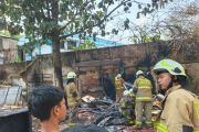 Kerugian kebakaran bedeng dan mobil di Tebet disebut capai Rp80 juta