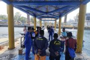 Polisi dalami dugaan WNA Tiongkok buru penyu sisik di Raja Ampat