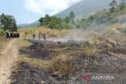 BPBD Kuningan padamkan kebakaran seluas empat hektare di TNGC