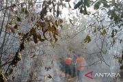 Karhutla di tiga desa Muara Enim berhasil dipadamkan