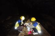BBWSSO cek kualitas air enam titik sungai di Gunungkidul, Ini hasilnya