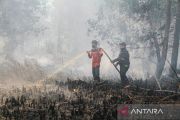 BPBD Palangka Raya: 1.201 hektare lahan terbakar akibat 567 karhutla