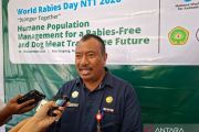 Pemkot Kupang percepat vaksinasi anjing untuk tekan rabies