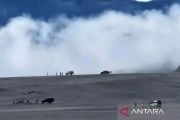 Mount Bromo to reopen to tourists after fire&nbsp;extinguished