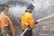 BPBD atasi karhutla di Teluk Limau Muara Enim