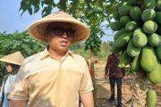 Satgas MBG tutup sementara 1 SPPG di Tanjungpinang