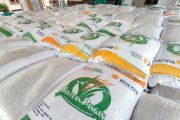 Sebanyak 144.540 keluarga di Lumajang terima bantuan pangan beras