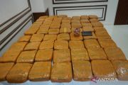 Polda Metro tangkap dua pelaku peredaran 62,5 kilogram ganja di Jakbar