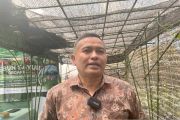 Indonesia boosts local crowd action to accelerate SDG progress