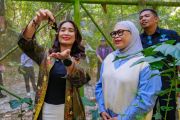 TN Bantimurung-Bulusaraung di Sulsel tawarkan wisata yang berbaur dengan alam