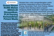 Green House KUBE Melon MEGO.ID Diresmikan, PLN Dorong Kemandirian Petani Muda