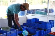 Unhas kelola 2,8 ton sampah organik di kampus