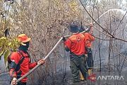 Satgas BPBD lanjutkan pemadaman karhutla di Gunung Megang Muara Enim