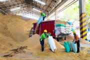 SIG gunakan 400 ton sekam padi per hari sebagai bahan bakar alternatif