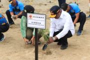 Pemprov Papua Selatan imbau warga menjaga dan melestarikan mangrove