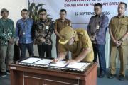 Pemkab Pasaman Barat - OJK kerja sama kembangkan komoditas jagung