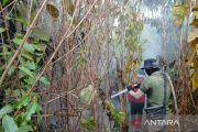 PT REKI dukung penyidikan Polda Jambi terkait karhutla