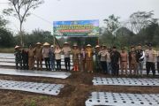Polres Rejang Lebong bersama Koptan kembangkan tanaman bawang putih