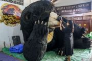 Produksi animatronik di Bantul