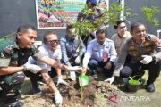 Wawali Kota Bima Sofian mendorong keberlanjutan gerakan 10.000 pohon di NTB