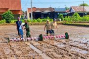 Pemkab Pekalongan memperluas tanam pertanian modern jaga pangan tersedia