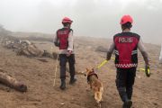 Polisi turunkan anjing pelacak cari korban banjir Solok