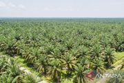 PTPN IV Regional III tegaskan pengelolaan kebun Lubuk Dalam didasarkan legalitas yang jelas