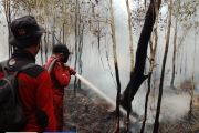 Hujan guyur sejumlah kecamatan di Kapuas